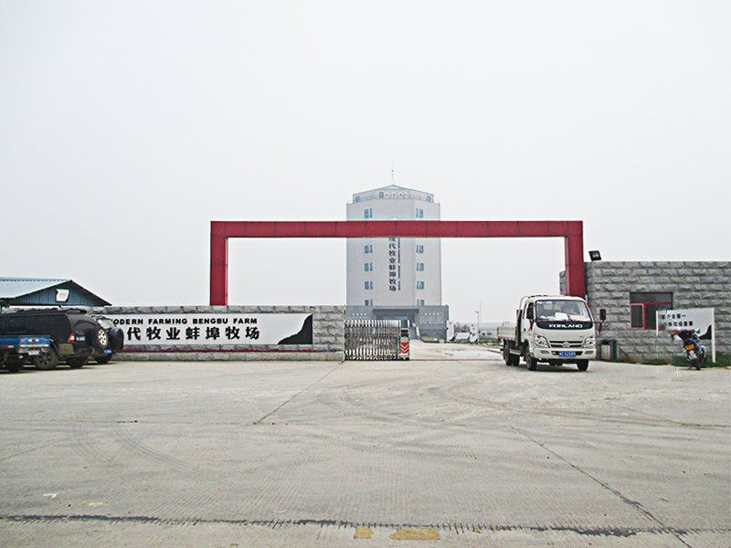 解決方案-現(xiàn)代牧業(yè)蚌埠牧場(chǎng)1.png