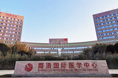 醫(yī)用氣體工程，醫(yī)用分子篩制氧系統(tǒng)