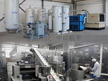 保鮮升級(jí)，成本下降：探索PSA制氮機(jī)在食品生產(chǎn)的經(jīng)濟(jì)效益